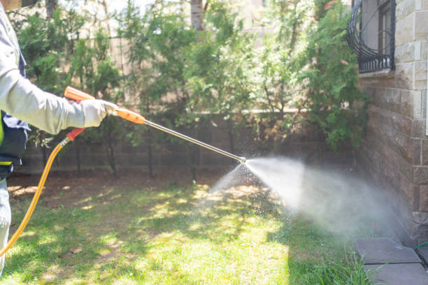 Reliable Franklin Park, NJ Pest control Solutions